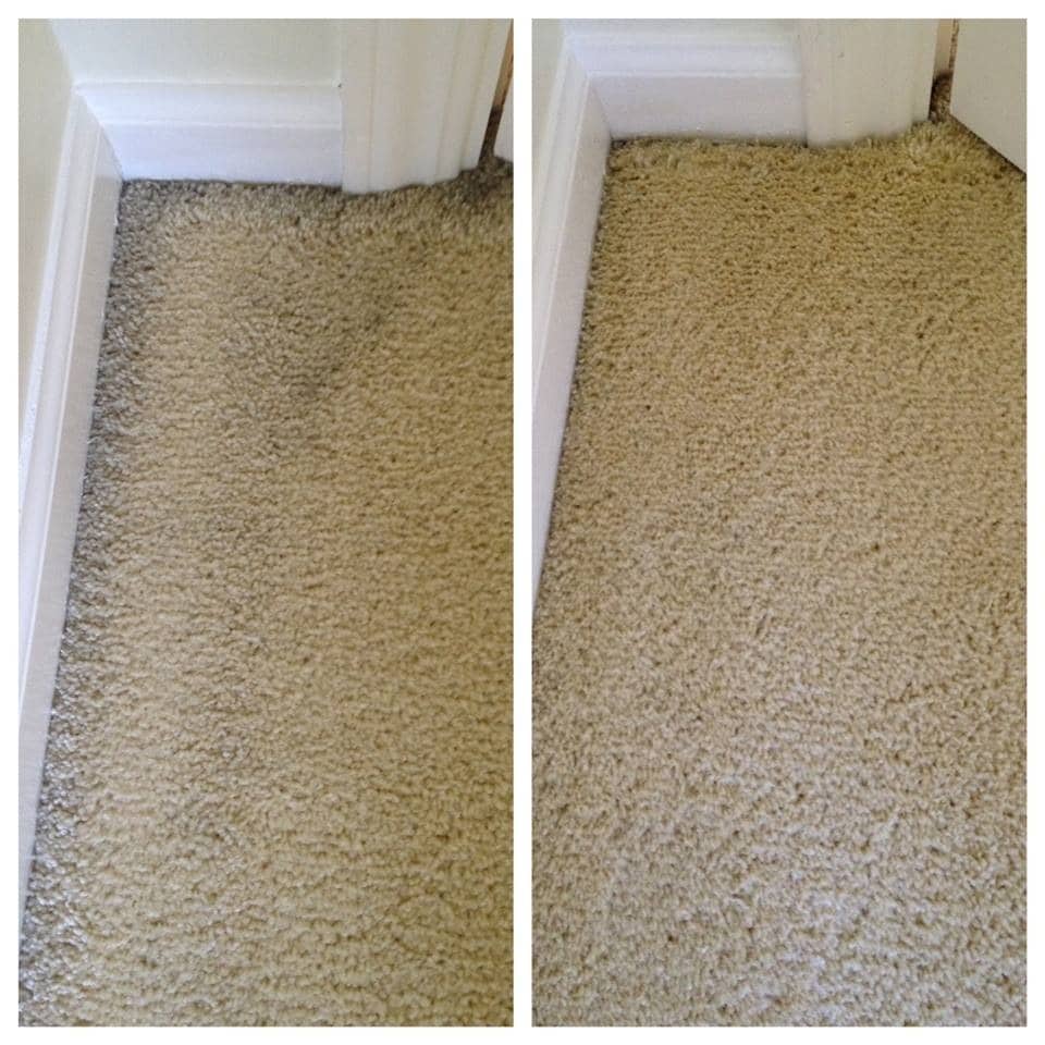 pinnacle-eco-clean-carpet-cleaning-pitts