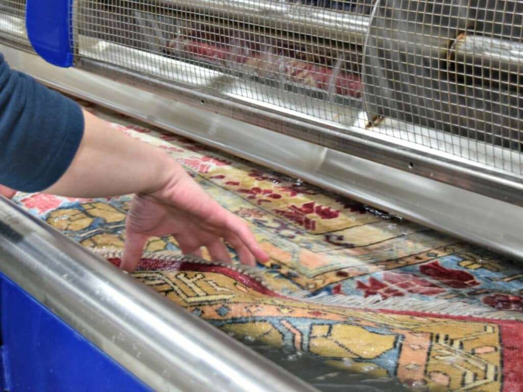 Oriental Rug & Area Rug Cleaning in Rochester, Fairport, & Brighton, NY