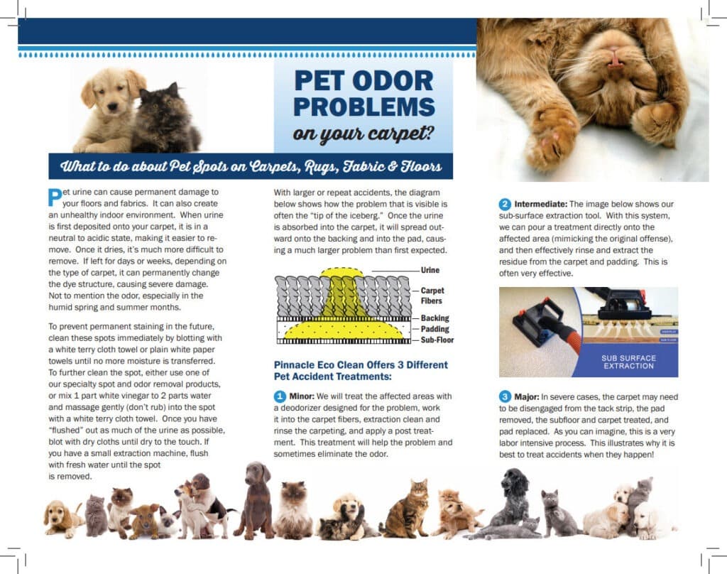 Pet Odor Problems Brochure