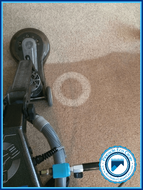 Carpet Cleaning With Machine