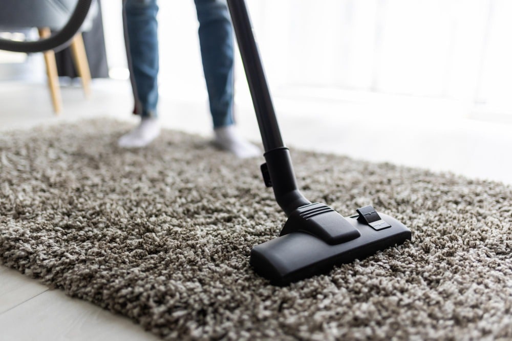 Professional Carpet Cleaning
