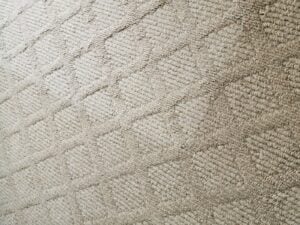 Cleaned Carpet Area