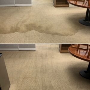 Floor Cleaning and Carpet Cleaning in Monroe County, NY