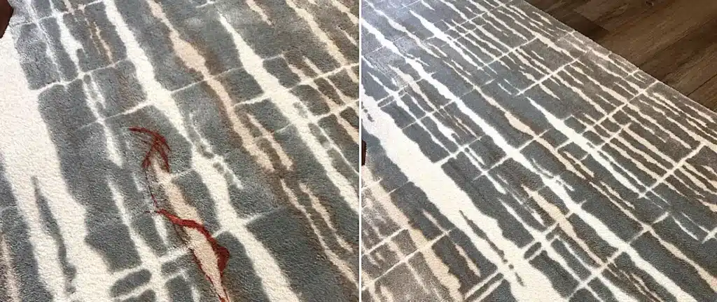 Before Vs After Carpet Cleaning Review